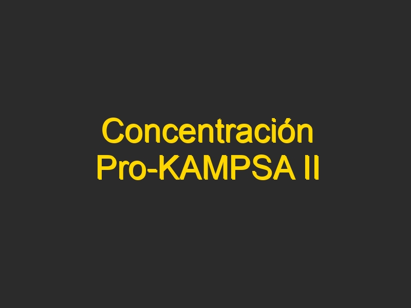 Concentración Pro-KAMPSA II