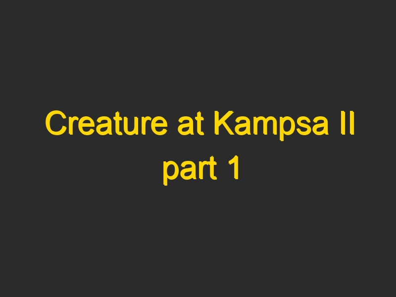 Creature at Kampsa II part 1