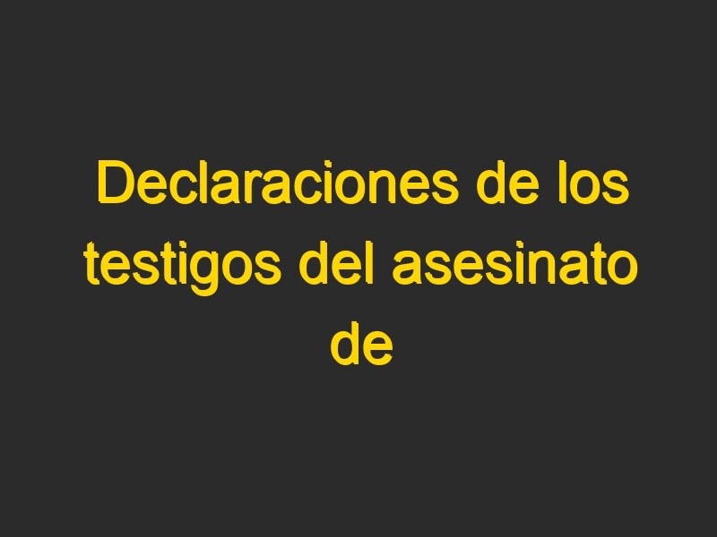 Declaraciones de los testigos del asesinato de #ÍñigoCabacas