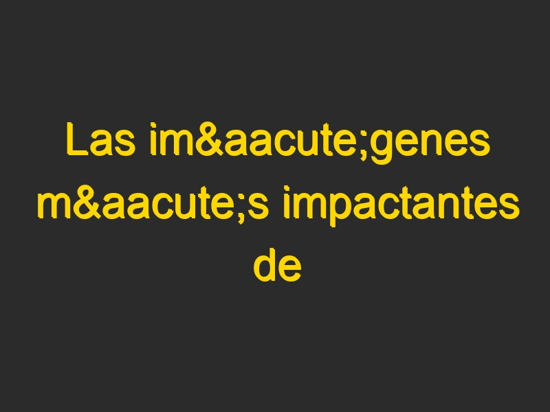 Las imágenes más impactantes de Greenpeace España en 2009