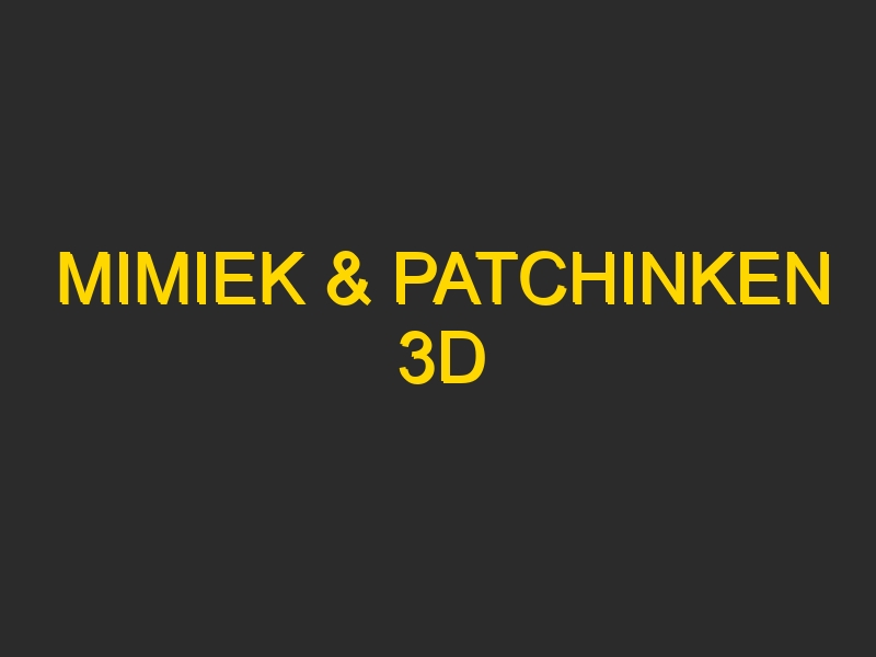 MIMIEK & PATCHINKEN 3D
