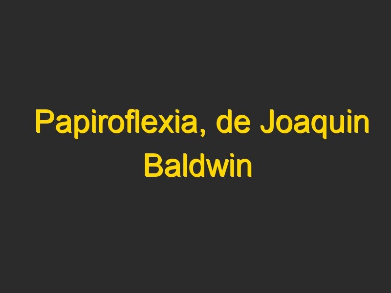 Papiroflexia, de Joaquin Baldwin